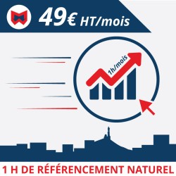 Webmaster Marseille : Agence web à Marseille, référencement naturel seo.