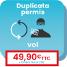 Démarche en ligne pour le renouvellement d'un permis de conduire suite à la perte ou au vol.