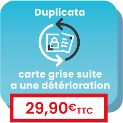 Service en ligne pour demander le duplicata d'une carte grise abîmée