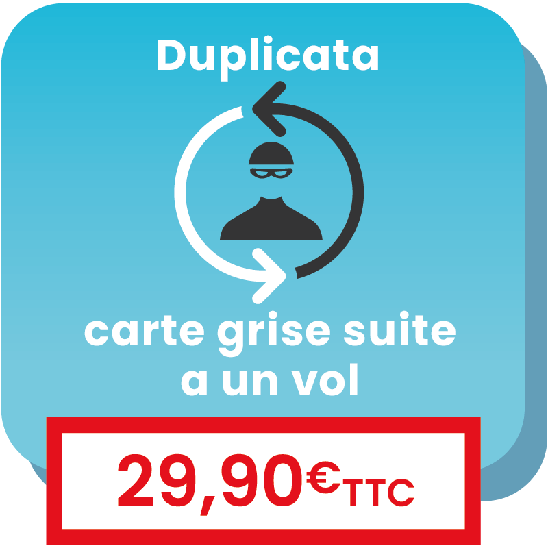 Service en ligne pour demander le duplicata d'une carte grise volée