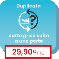 Service en ligne pour demander le duplicata d'une carte grise perdue
